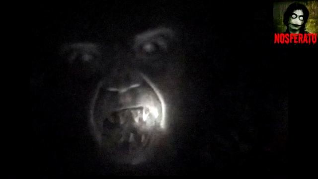 Дорожные твари. Страшные истории на ночь 🫣🫣🫣 смотреть онлайн