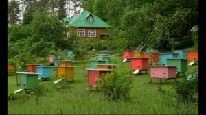 13.02.20 г. Z-рация, канал "Творческое пчеловодство" Малыхин В.Е., общение в режиме "вопрос-ответ"