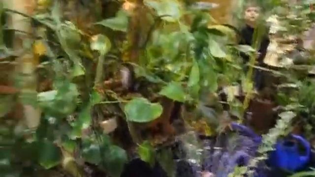 Фильм.wmv смотреть онлайн