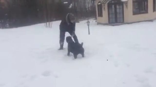 ВИП в пестово смотреть онлайн