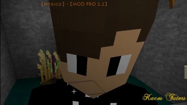SKYN PERSONALISADA NO SURVIVALCRAFT 2+DOWNLOAD