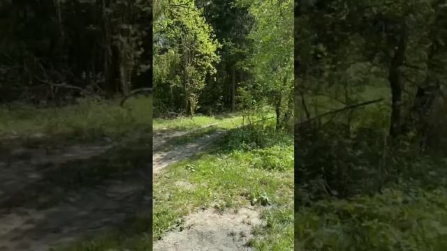 Пионерский лагерь "Ласточка" смотреть онлайн
