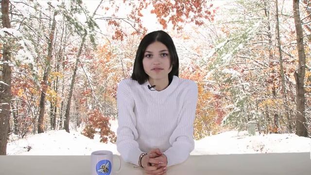 Новогоднее поздравление! смотреть онлайн