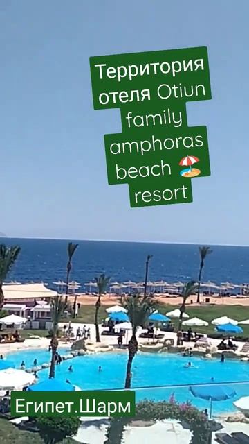 Территория отеля Otium family amphoras 🏺 beach resort.Шарм эль Шейх смотреть онлайн
