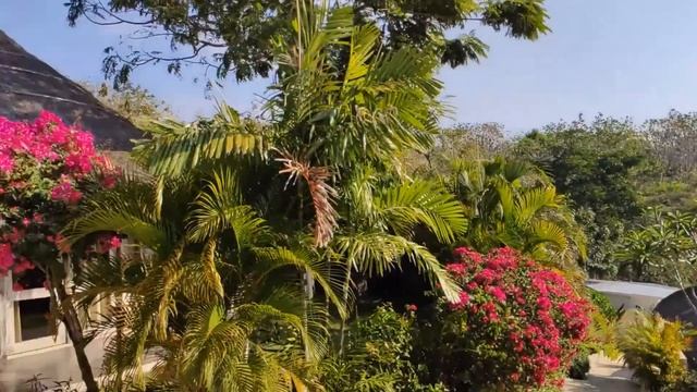 Обзор эко-отеля Milo's Home (Джимбаран) смотреть онлайн