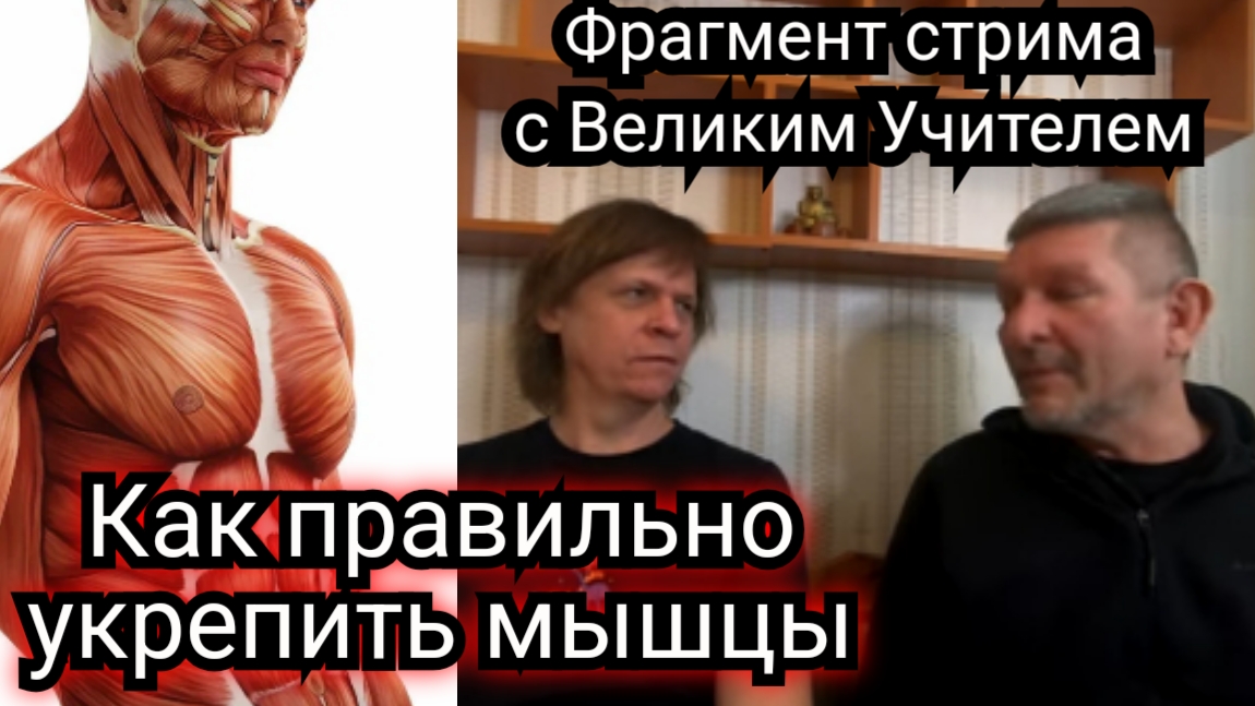 как правильно накачать мышцы смотреть онлайн