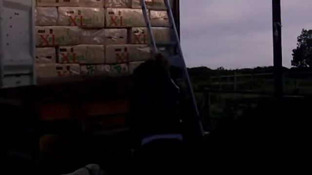 BEST BEDDING WE CHOOSE #SHAVINGS FOR THE HORSE #ОПИЛКИ ДЛЯ ЛОШАДЕЙ CYPRUS смотреть онлайн