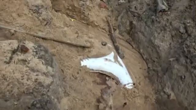 Суслова и Юности.mp4 смотреть онлайн