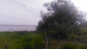 VID_20250425_091135.mp4