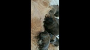 мы открыли глазки, не хватает еды