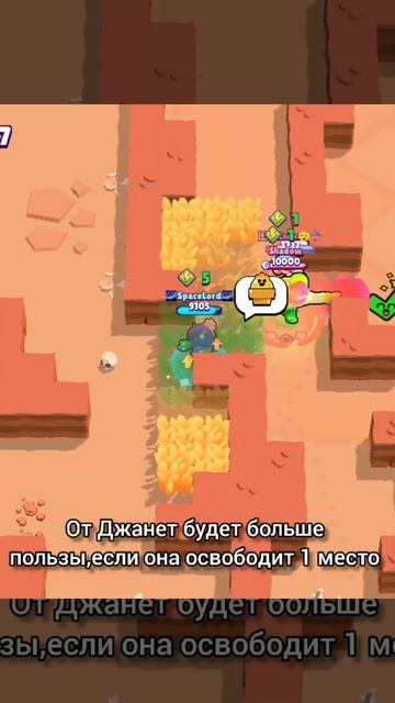 30 ранг на розе в мету Шелли