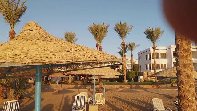 Queen Sharm Resort - пляж и берег в 7 утра.