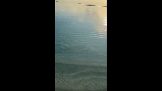 Мальдивы. отель Riu Palace Maldives 5* 2023год смотреть онлайн