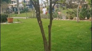 МАРОККО — Riu Palace Tikida. Что интересного в Агадире?
