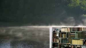 25-04-2025   ЖКТ. Матрица Гаряева.