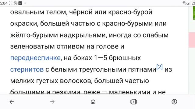 Майский жук, станция скоростного трамвая "Кольцевая", Кривой Рог, май 2024 смотреть онлайн