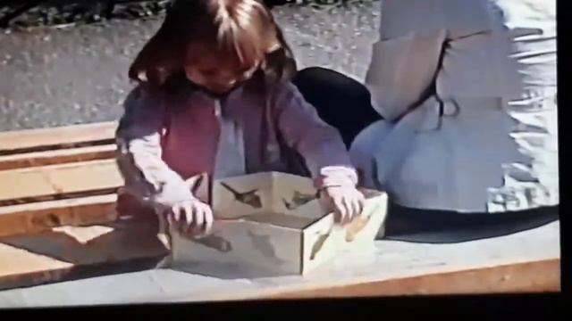 Поездка на Спартакиаду . Мострансавто , Ногинск Соревнования и отдых около пруда в лесу .2005 год . смотреть онлайн