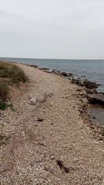 Бахри сиёх. Чёрный море смотреть онлайн