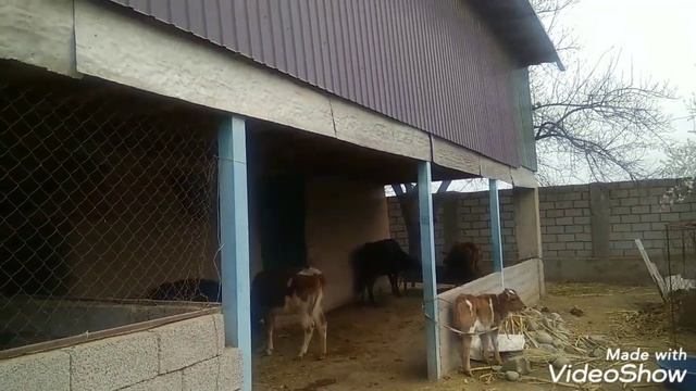 Регар рафтем🌹Бахор омад 🌷 смотреть онлайн