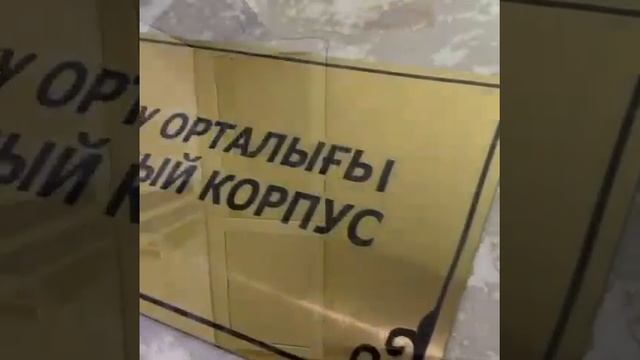 Санаторий «Сарыагаш Айсары» смотреть онлайн