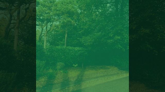 Атмосфера (Кофейни) смотреть онлайн