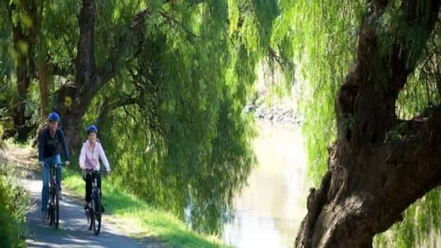 Мельбурн, Мельбурн-Ист - Amora Hotel Riverwalk смотреть онлайн