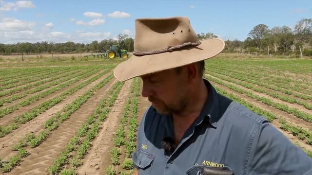 Monosem NG Twin Row Sync Row Planting Peanuts смотреть онлайн