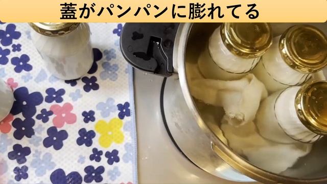 ヨーグルトの瓶詰め。瓶詰したヨーグルトを再度ヨーグルト培養実験＆一年間常温保存出来るのか！実験をします。ヨーグルト菌は良い菌だけど、食べ物に悪い菌もいるから、実験で確認してみよう。安全に瓶詰めしたい