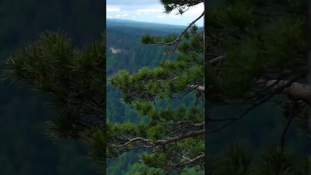 Республика Адыгея смотреть онлайн