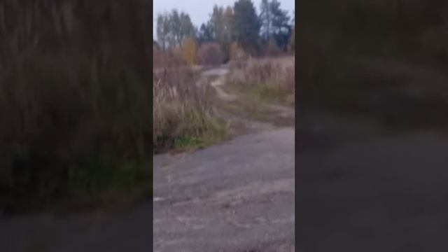 меня спалили 3 часть миссия выполнена