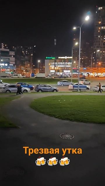 #2023 #спб #питер #трезваяутка #паб 🍻🍻🍻😎 смотреть онлайн