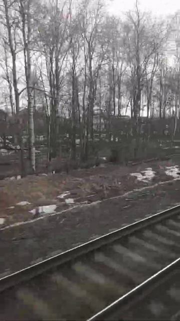 Поезд / Пригород Питера / можно сходить на шашлыки смотреть онлайн