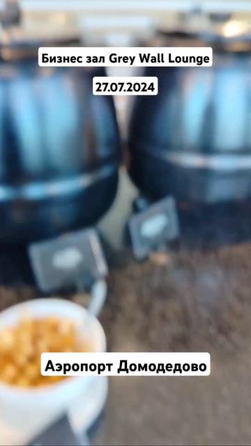 Бизнес зал Grey Wall, Домодедово июль 2024 смотреть онлайн