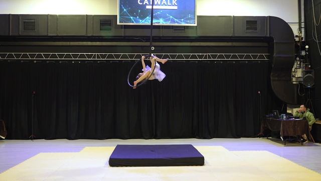 Фролова Виктория - Catwalk Dance Fest [pole dance, aerial] 26.11.2022г. смотреть онлайн