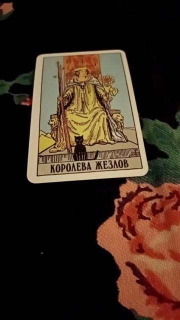 Карта Дня ❄️23 декабря.