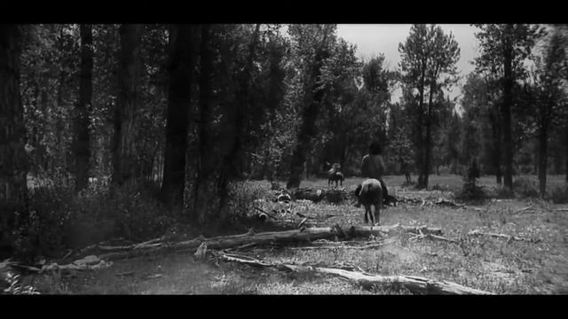 Большая слежка (1930) смотреть онлайн