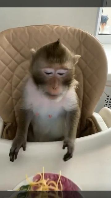 Чита ждёт завтрак смотреть онлайн