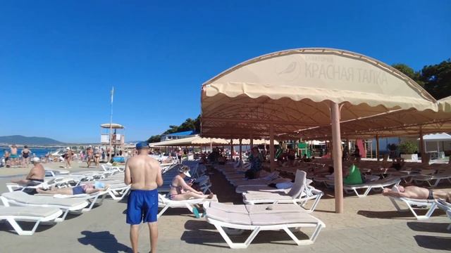 #ГЕЛЕНДЖИК 🌞КРАСНАЯ ТАЛКА🏊♀️👍#дивноморское #черноеморе #прогулкапогороду