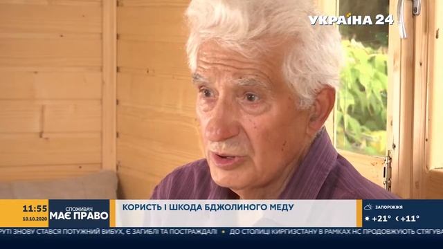 Сон на бджолах: чим корисна апітерапія