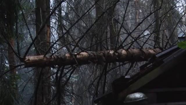 2 июля на Власиху обрушился ураган. Сильно пострадал дом на ул. Сосновая смотреть онлайн