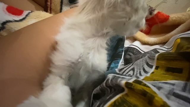 У КОГО я остановилась ЖИТЬ в КИЕВЕ?✨ смотреть онлайн