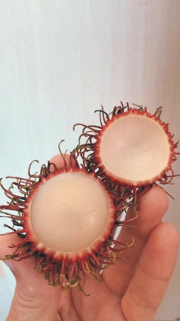 Что за фрукт - рамбутан?. #вьетнам #авторскийтур #отдых #азия #travel смотреть онлайн