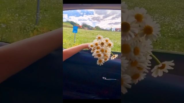 Эко отдых/Ani Like👍/20.07.2023/ смотреть онлайн