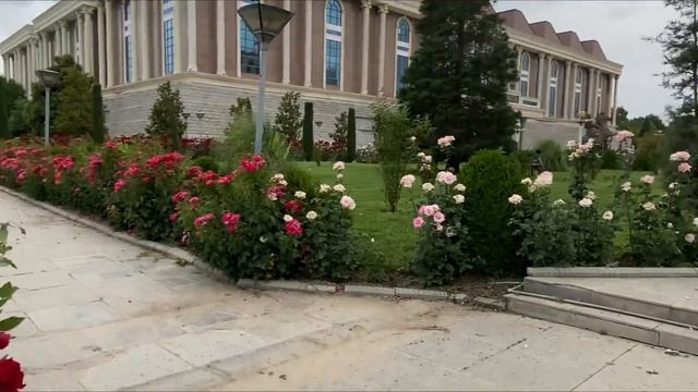 Душанбе зеленый город🌳🏙️🇹🇯 #tajikistan #душанбе #таджикистан #uzbekistan #казахстан #точикистон #о смотреть онлайн