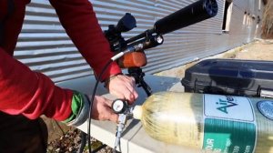 охота на голубей с пневматики добыл голубей приготовил вкуснятину