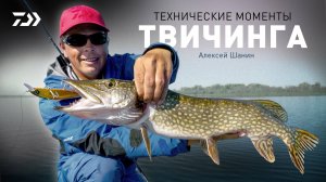 ТЕХНИЧЕСКИЕ МОМЕНТЫ ТВИЧИНГА x АЛЕКСЕЙ ШАНИН