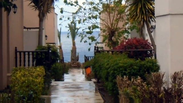 Кипр, Пафос смотреть онлайн