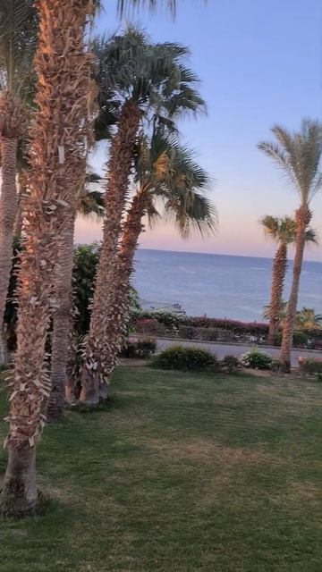 Египет. PARK REGENCY SHARM EL SHEIKH RESORT 5*.Вид с номера. Октябрь 2022 смотреть онлайн