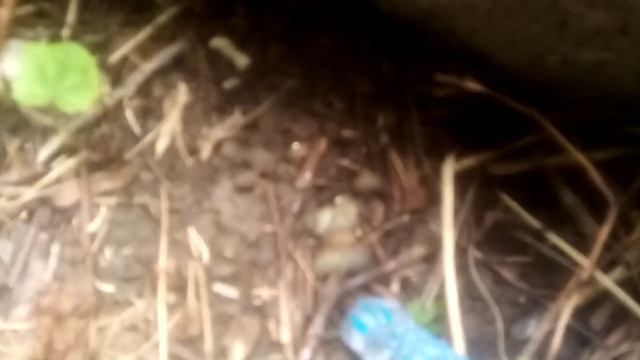 Уборка маленькой части района часть 1! смотреть онлайн