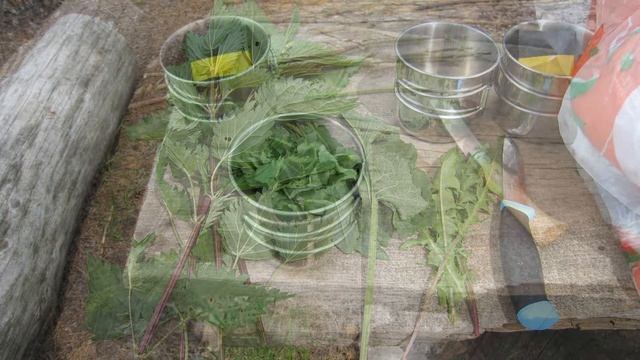 Долговременное выживание смотреть онлайн